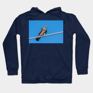 Mississippi Kite Juvenile All Alone Hoodie